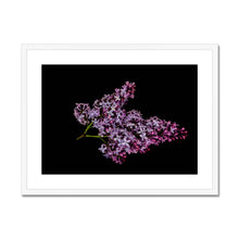 Load image into Gallery viewer, Framed &amp; Mounted Print
