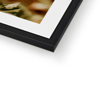 Load image into Gallery viewer, Framed &amp; Mounted Print
