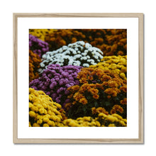 Load image into Gallery viewer, Framed &amp; Mounted Print
